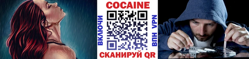 COCAIN Fish Scale  цены   Олонец 