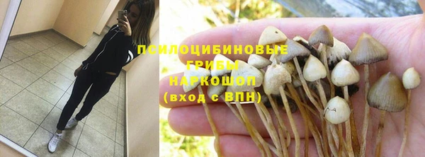 спайс Инсар