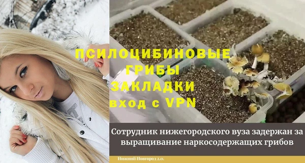 спайс Инсар