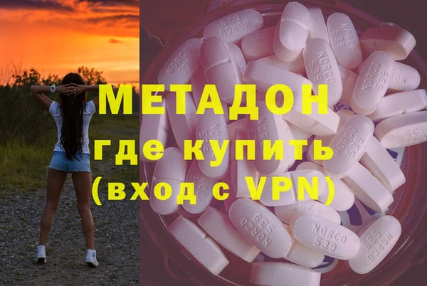 прущие грибы Каменка
