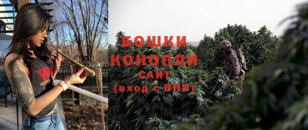 прущие грибы Каменка