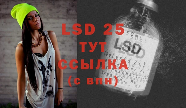 PSILOCYBIN Шарыпово