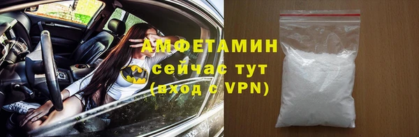 прущие грибы Каменка